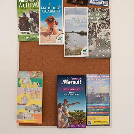 Carnon ~ Plage, Port Et Commerces, Proche! Могио